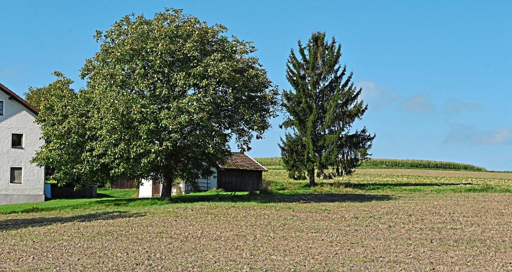 Geroling - Tettenweis