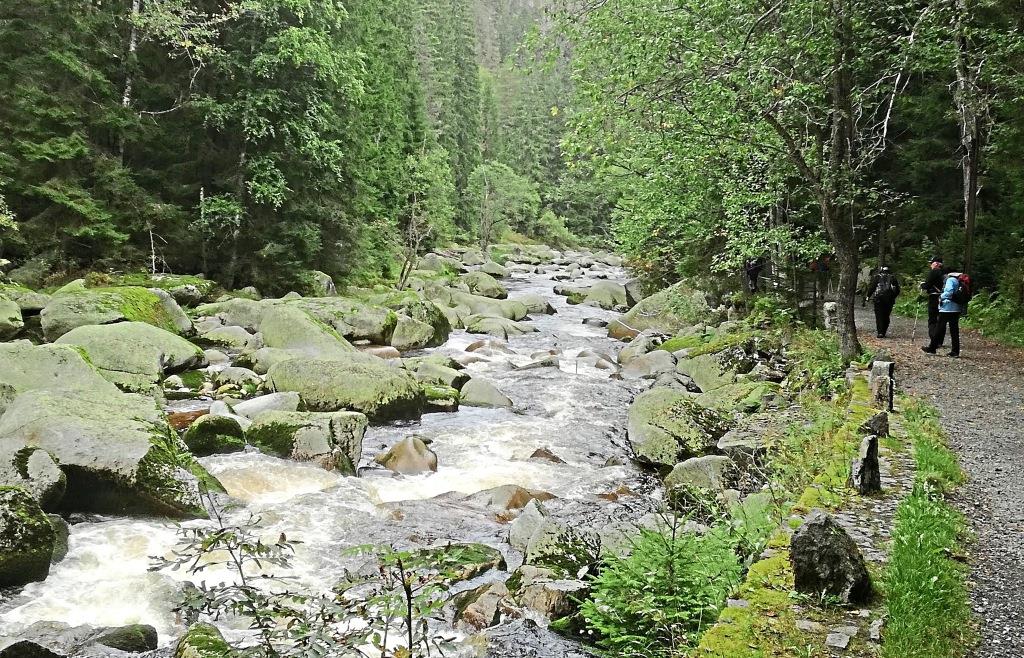 Rekordbesucherzahlen im Nationalpark Šumava