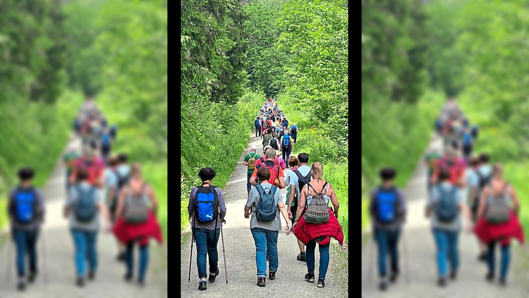 singles-wandern-durch-bayerisch-kanada