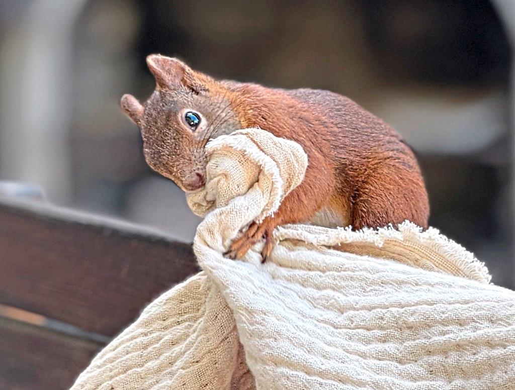 Leni klum nudes Heidi Klums 18-year-old daughter, Leni,