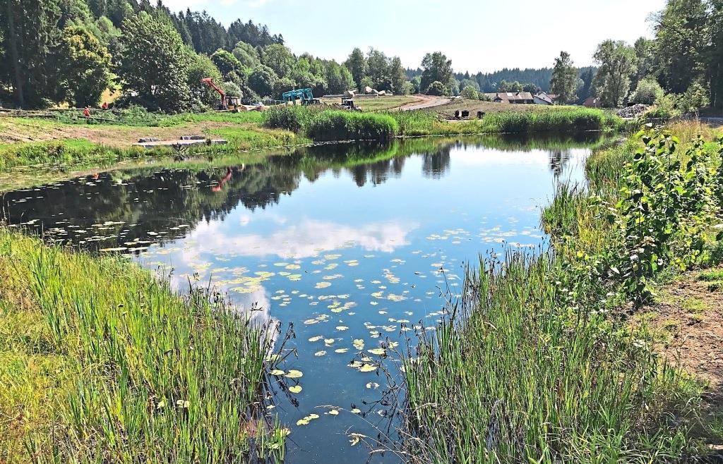 Frischzellenkur für den Kurpark