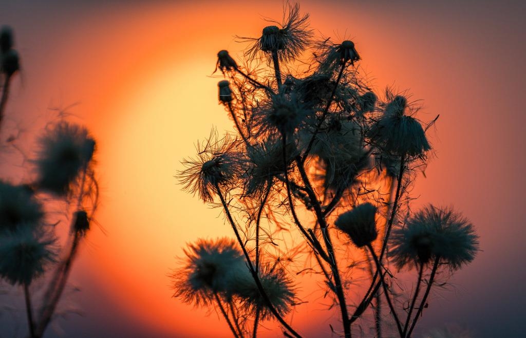 Sonnwende 2023 - Heute ist der längste Tag des Jahres: Wann die Sonne