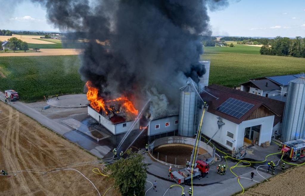 Rund 600 Schweine sterben bei Großbrand auf Bauernhof in Oberösterreich