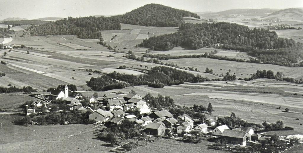 Böhmzwiesel am Goldenen Steig