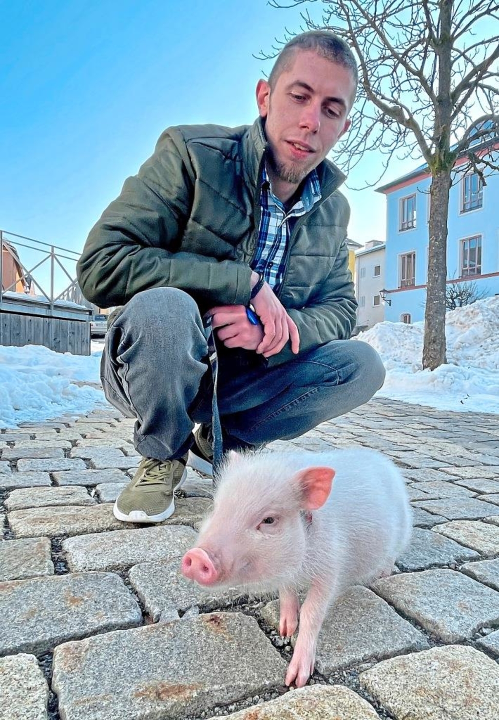 Ein Schweinchen namens Schnitzel
