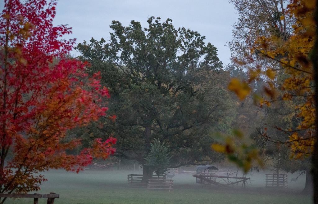 Tiefdruckgebiet bringt mildes Wetter nach Bayern – bis zu 16 Grad möglich