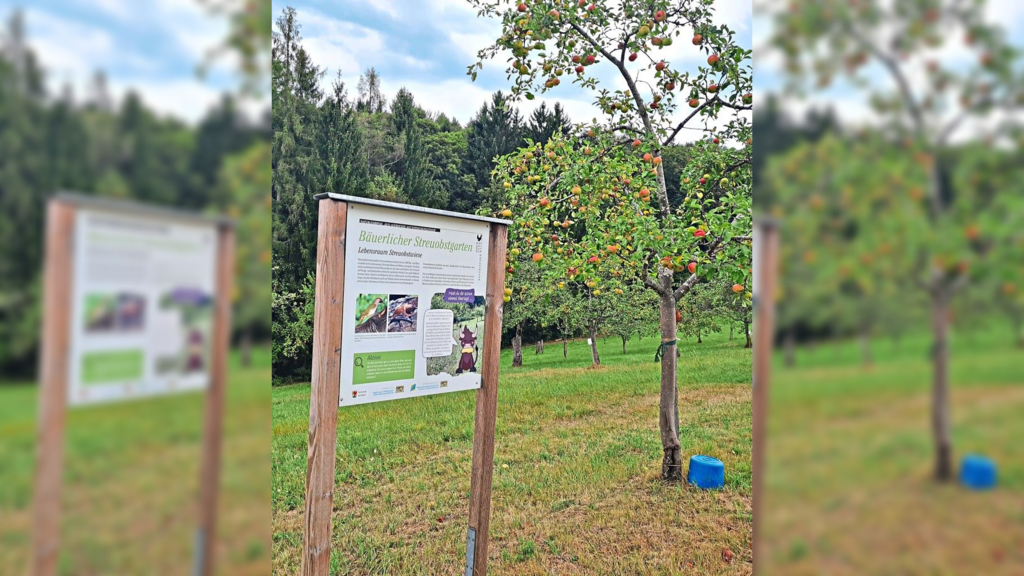 Mit Auli Auerochse die letzten Ferientage ausnutzen