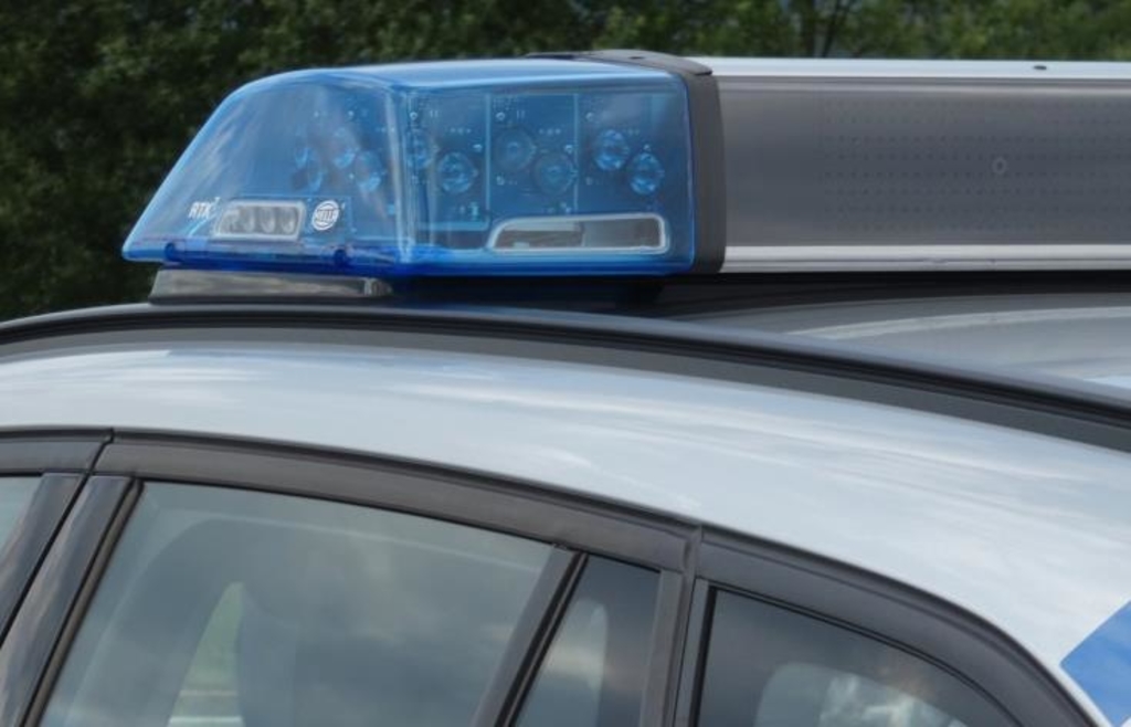 Woman bitten by dog ​​in Viechtach: Owner simply walks on