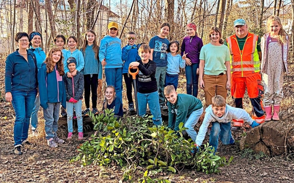 Naturgeister befreien den Schulwald von Kirschlorbeer