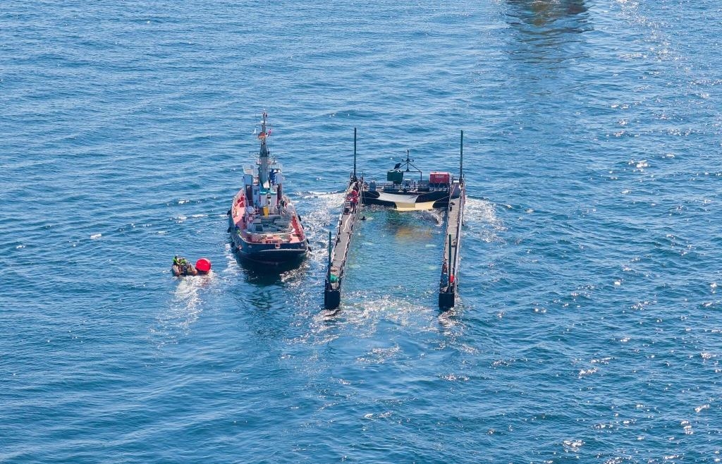 Whale Timmy released - | but now there's a mystery surrounding the ...