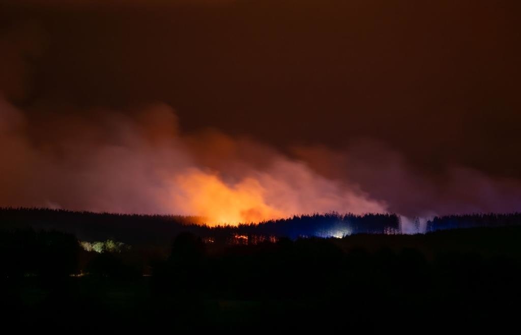 Nächster großer Waldbrand bedroht NRW – Stadt Monschau empfiehlt ...