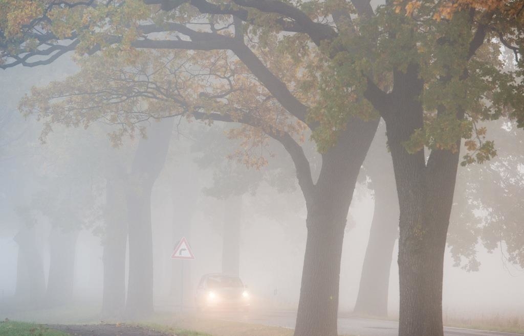 Weather in Bavaria: After the fog comes the sun - | and then the rain