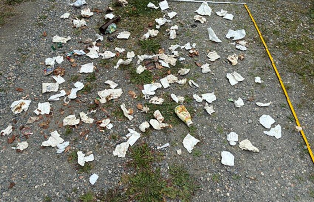 National Park Ranger Annoyed by Tissue Avalanche on the Lusen