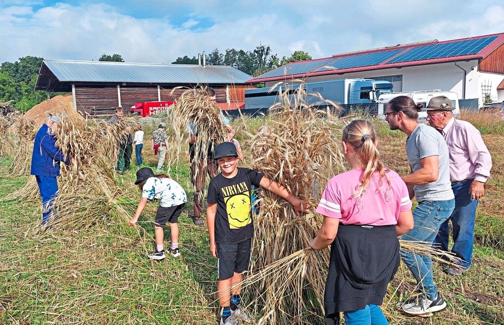 „Auch Brot muss wachsen“ „Auch Brot muss wachsen“