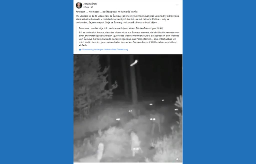 Großes Rudel: Virale Aufregung um falsche Böhmerwaldwölfe
