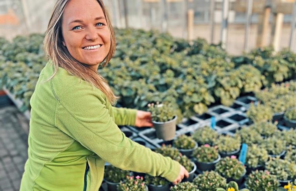Andrea Rauscher Wie man sich mit Blumen den Frühling ins Haus holen kann