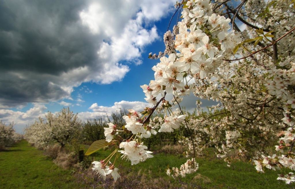 Der April macht, was er will: Darum spielt das Wetter im April so verrückt