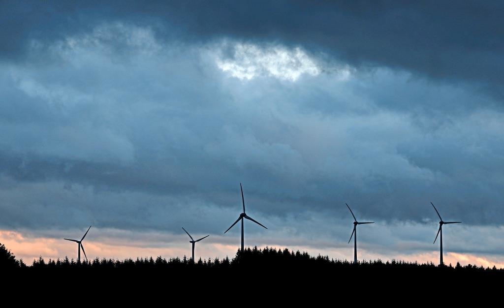 Free State receives hardly any subsidies: Is wind power no longer ...