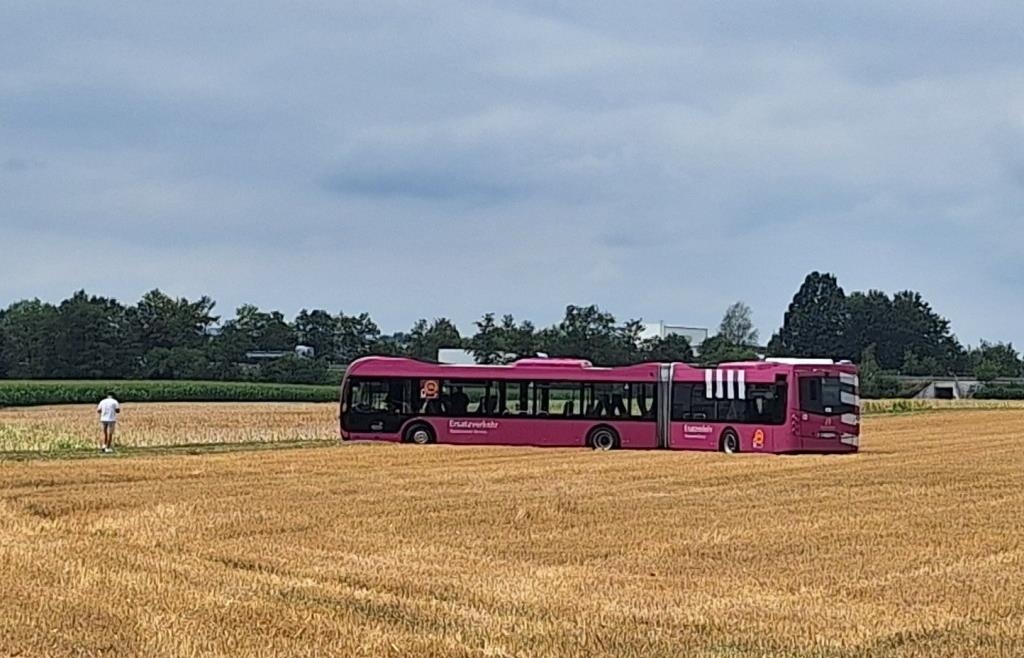 A bus in a cornfield: DB replacement bus stranded in Lower Bavaria