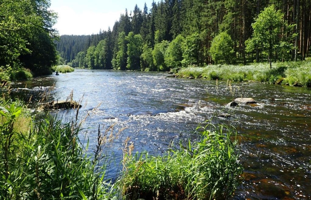 Fischwilderei in Viechtach: Urlauberkind (11) angelt unerlaubt im Schwarzen Regen